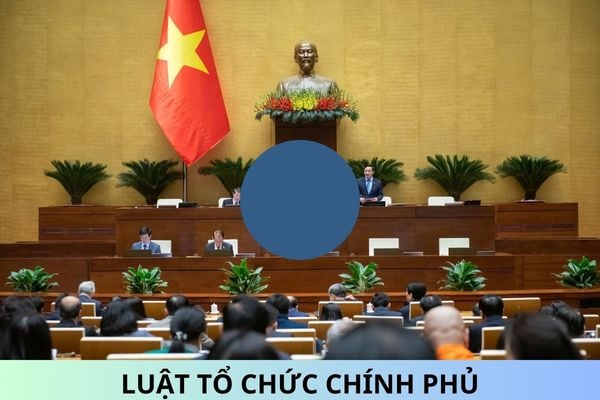 OFFICIAL: Law on Organization of the Government of Vietnam 2025?