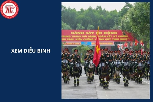 Hỏi đáp Pháp luật