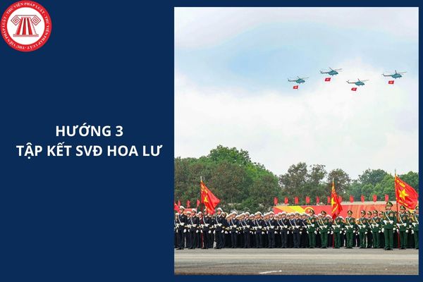Hỏi đáp Pháp luật