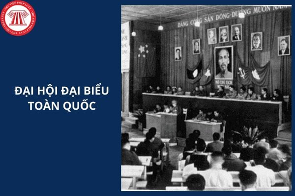 Hỏi đáp Pháp luật