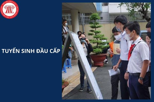 Hỏi đáp Pháp luật
