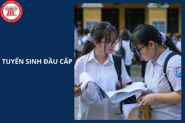 Hỏi đáp Pháp luật