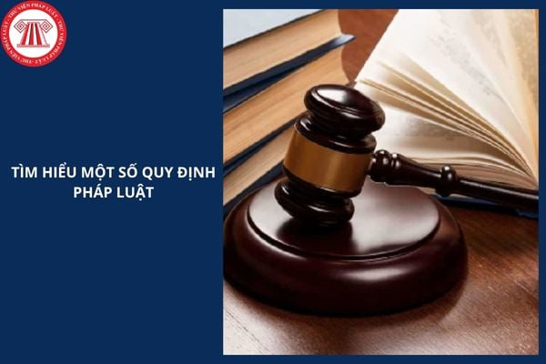 Hỏi đáp Pháp luật