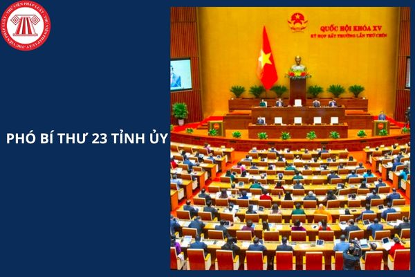 Hỏi đáp Pháp luật