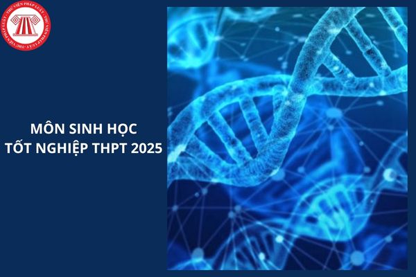 Full đáp án đề Sinh mã đề 0427 thi tốt nghiệp THPT 2025 thế nào?