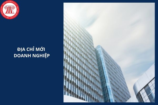 Hướng dẫn xem địa chỉ mới doanh nghiệp trên Website Cục Thuế mới nhất 2025 thế nào?