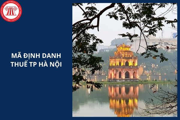 Hỏi đáp Pháp luật