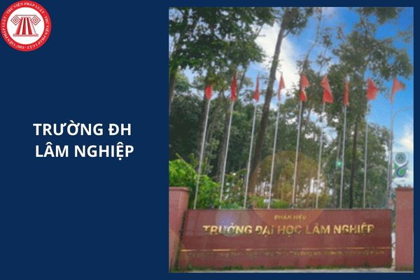 Điểm chuẩn trường ĐH Lâm nghiệp Cơ sở 2 năm 2025 là bao nhiêu?