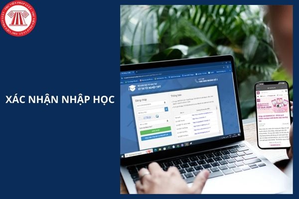 Hỏi đáp Pháp luật
