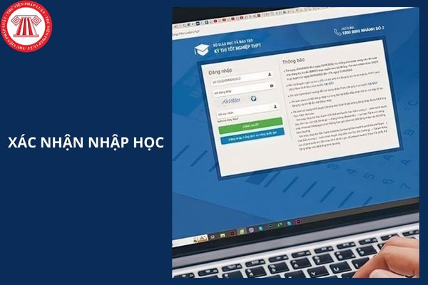 Hướng dẫn xác nhận nhập học đại học năm học 2025-2026 thực hiện thế nào?