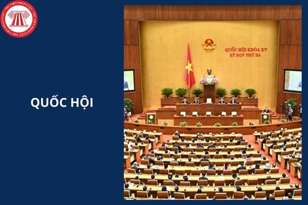 Hỏi đáp Pháp luật