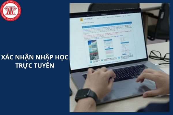 Hỏi đáp Pháp luật