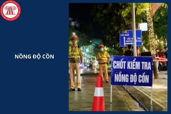 Hỏi đáp Pháp luật