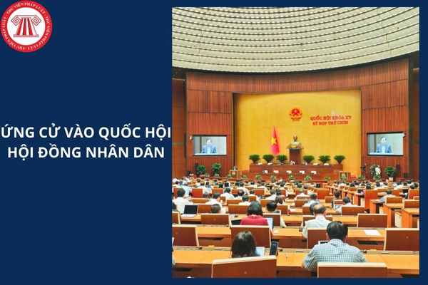 Hỏi đáp Pháp luật