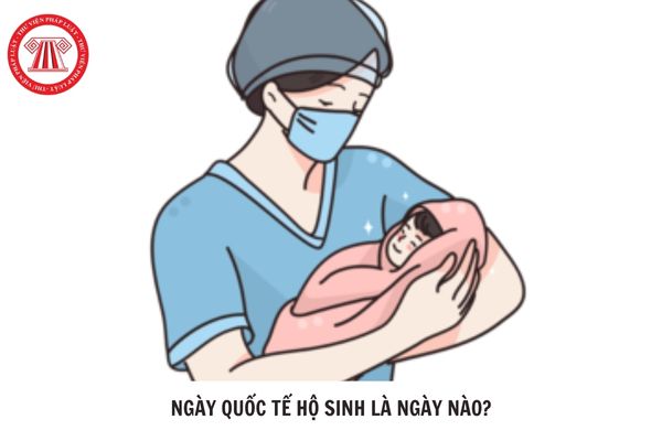 Hỏi đáp Pháp luật
