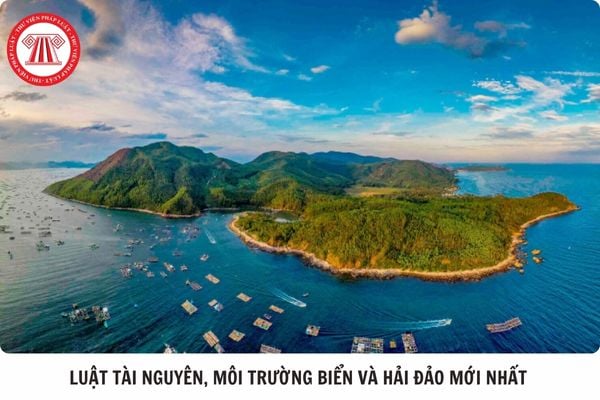 Hỏi đáp Pháp luật