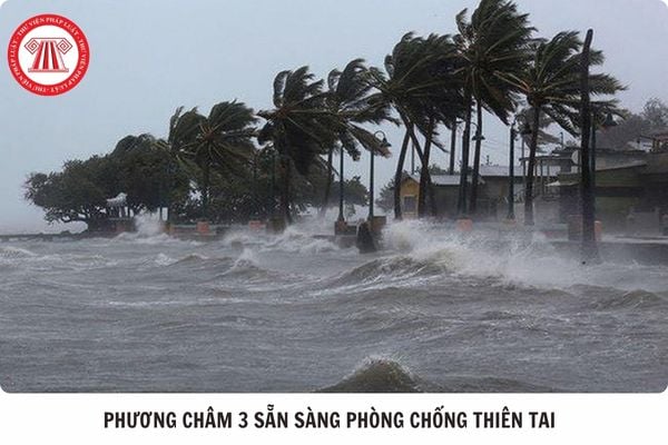 Hỏi đáp Pháp luật
