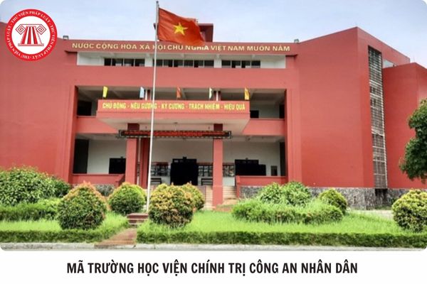 Hỏi đáp Pháp luật