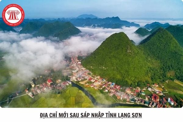 Hỏi đáp Pháp luật