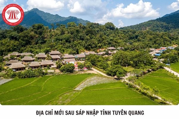 Hỏi đáp Pháp luật