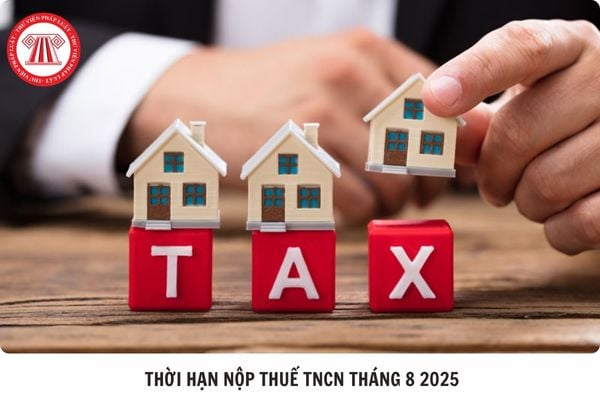 Hỏi đáp Pháp luật