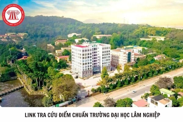 Hỏi đáp Pháp luật