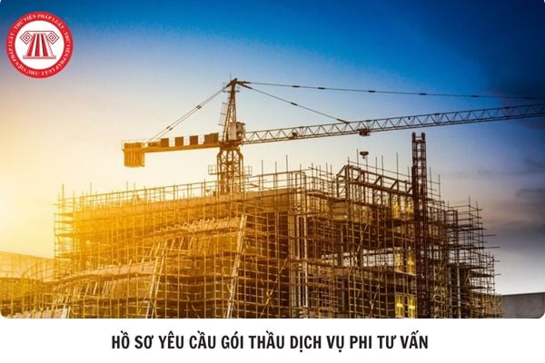 Hỏi đáp Pháp luật