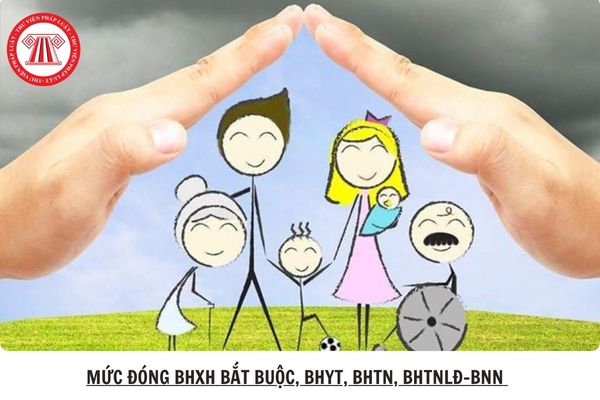 Hỏi đáp Pháp luật