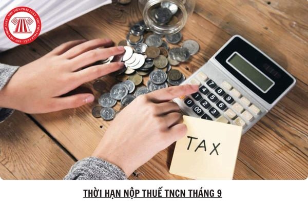 Hỏi đáp Pháp luật