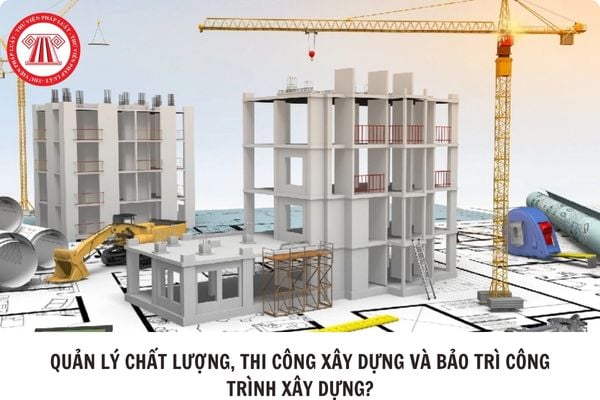 Hỏi đáp Pháp luật