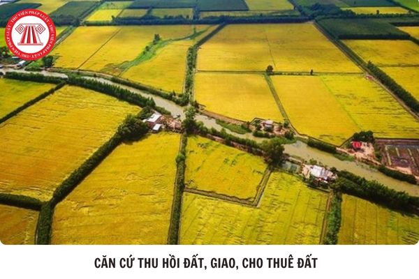 Hỏi đáp Pháp luật
