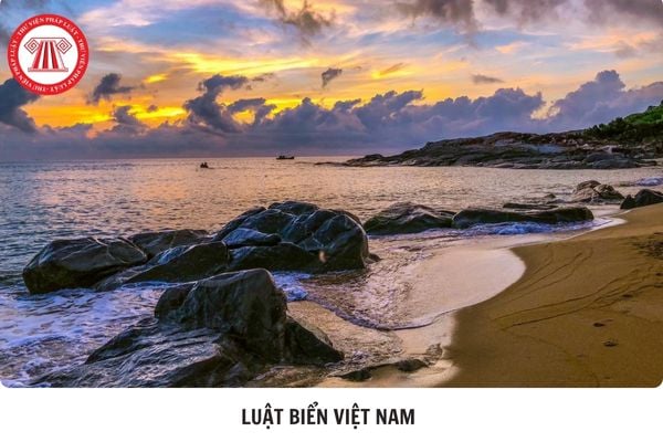 Hỏi đáp Pháp luật