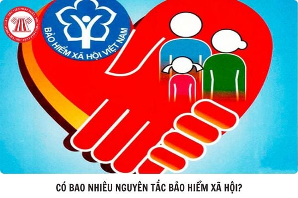 Hỏi đáp Pháp luật