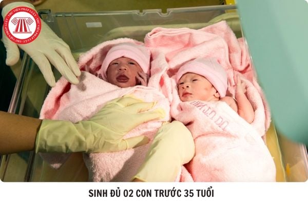 Hỏi đáp Pháp luật