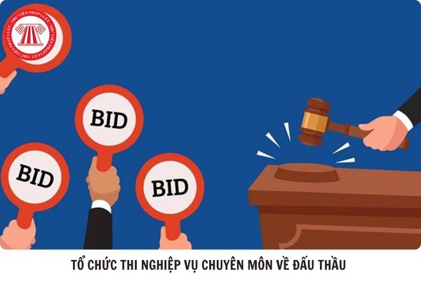 Hỏi đáp Pháp luật