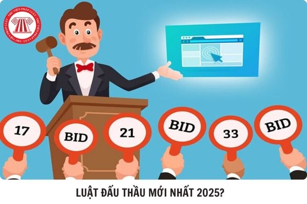 Hỏi đáp Pháp luật