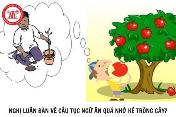 Hỏi đáp Pháp luật