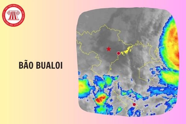 Hỏi đáp Pháp luật