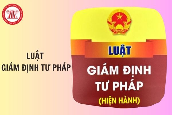 Hỏi đáp Pháp luật