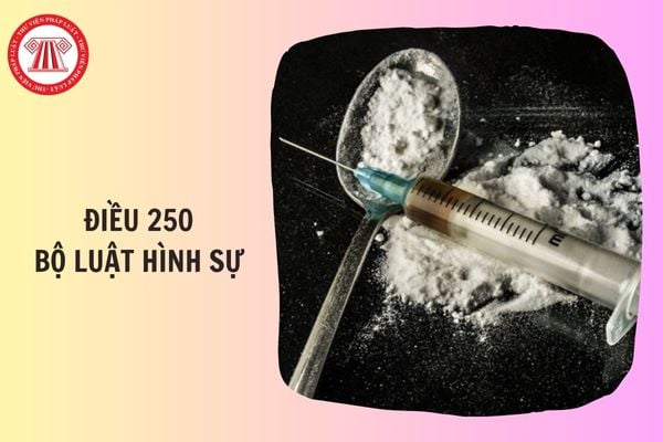 Điều 250 Bộ luật Hình sự quy định tội vận chuyển trái phép chất ma túy thế nào?