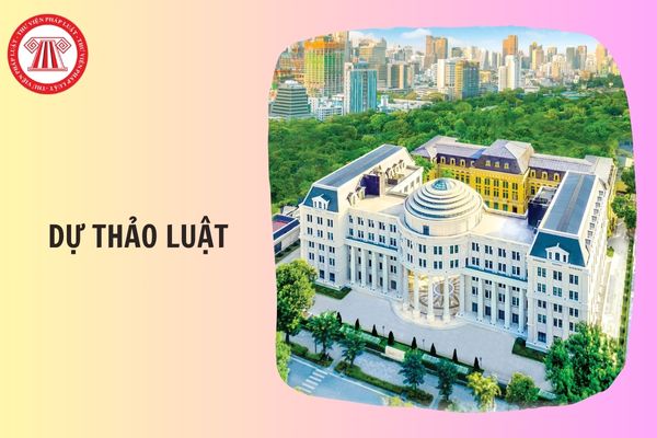 Hỏi đáp Pháp luật