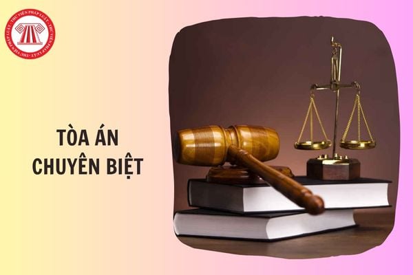 Đề xuất cơ cấu tổ chức của Tòa án chuyên biệt gồm các bộ phận nào?