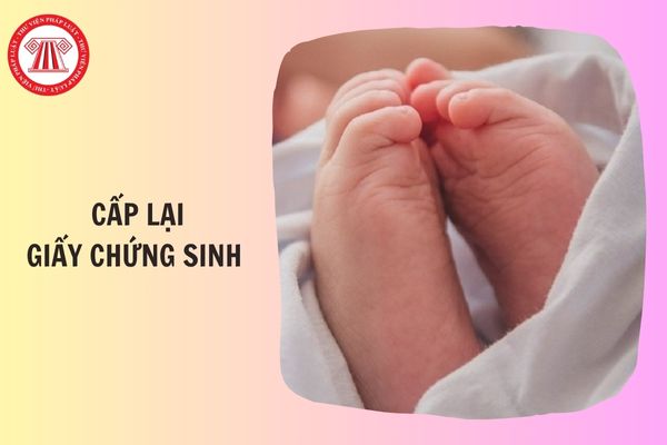 Hỏi đáp Pháp luật