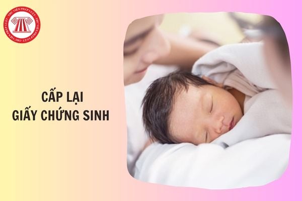 Hỏi đáp Pháp luật
