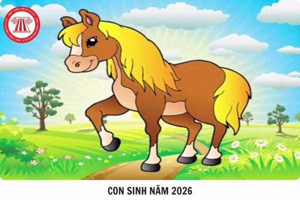 Hỏi đáp Pháp luật