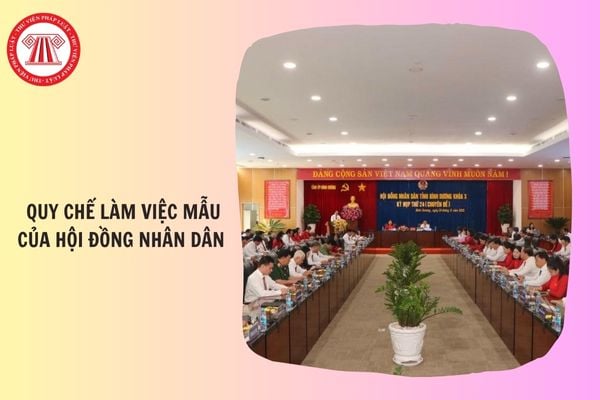Hỏi đáp Pháp luật