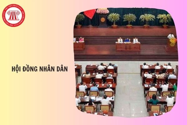 Hỏi đáp Pháp luật