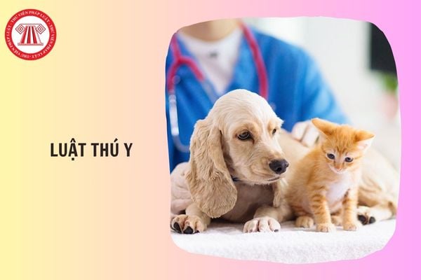 Hỏi đáp Pháp luật