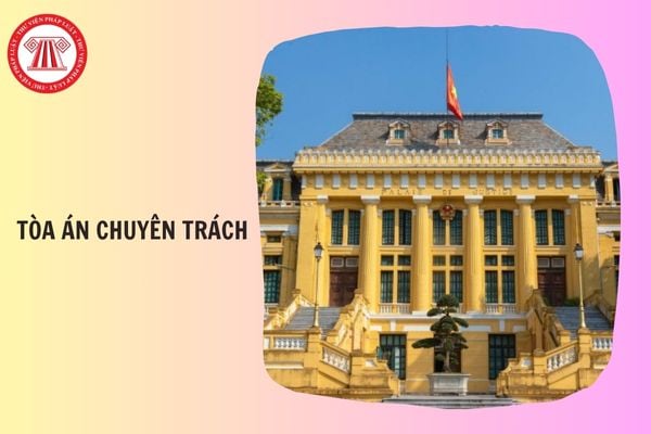 Tổ chức Tòa chuyên trách tại Tòa án nhân dân khu vực được thực hiện thế nào?