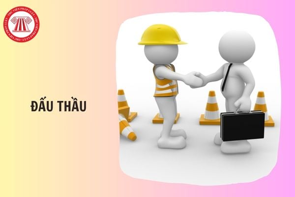 Cá nhân nào được cấp chứng chỉ nghiệp vụ chuyên môn về đấu thầu từ 31/10/2025?